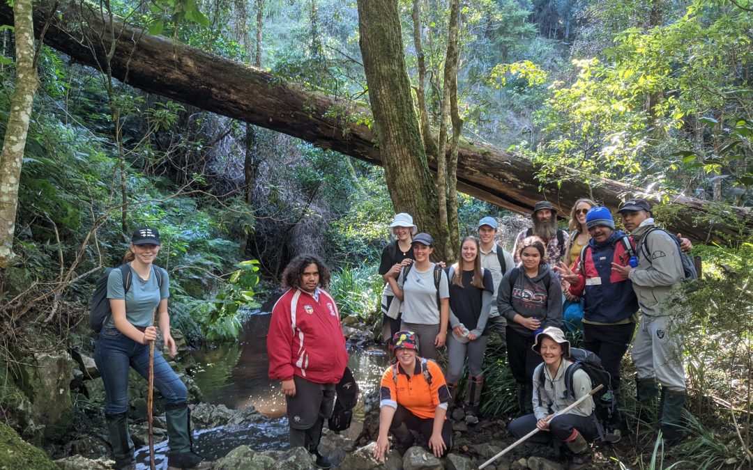 In temperate rainforest with The Crossing Land